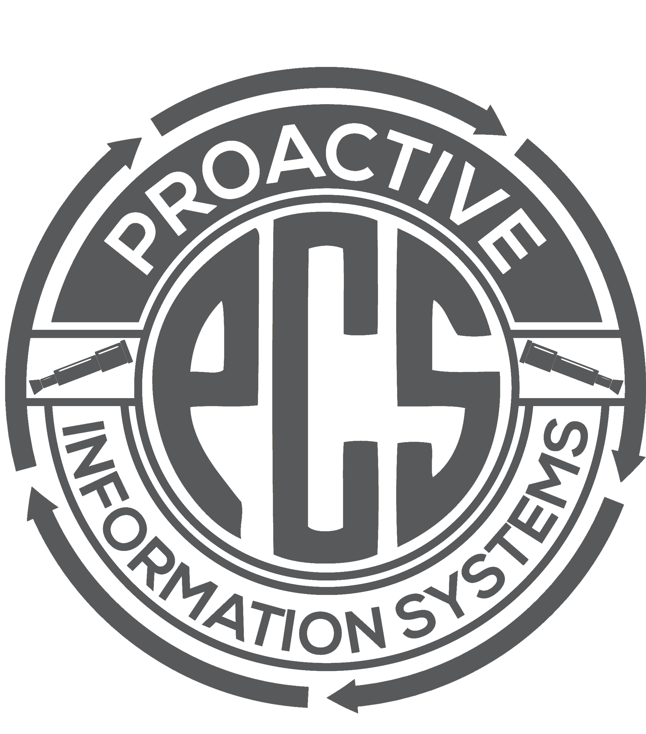 Proactive IS logo